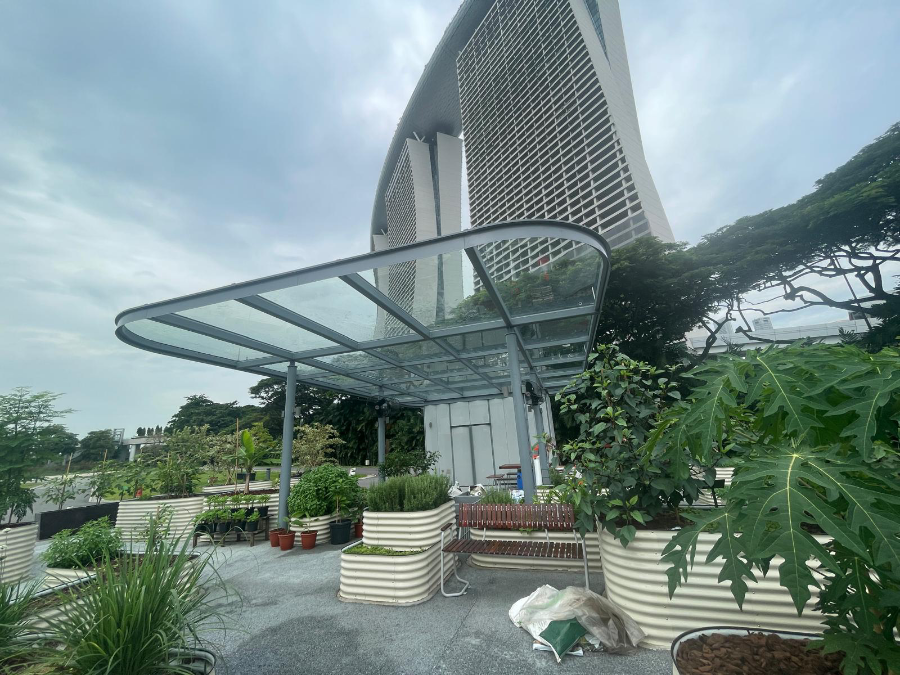 Glass and steel canopy at Gardens by the Bay